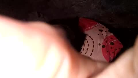 auroraangels1 online show from April 2026 02:01:01 AM