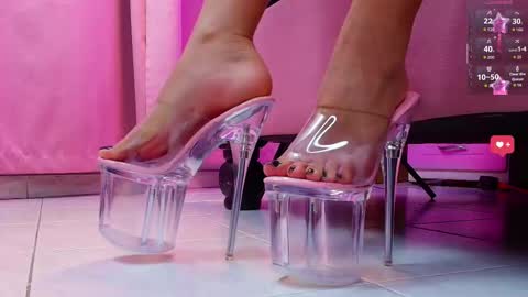 Aurora online show from February 2026 12:44:02 PM