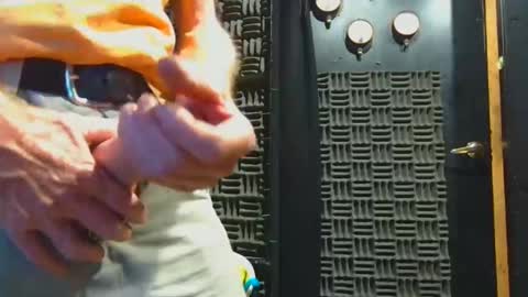 aussieraz online show from November 2025 08:02:02 AM