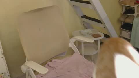 Rhian online show from February 2026 03:24:01 AM