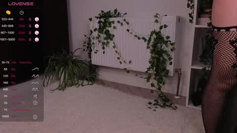 aviaveavi online show from April 2026 04:48:01 PM