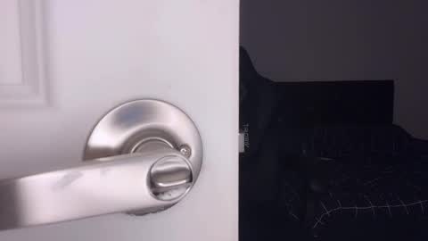 Aya online show from March 2026 08:00:02 AM