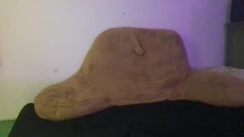 Snapshot of ayyo222 chatting on December 2024 10:06:02 PM ayyo222 online show from December 2024 10:06:02 PM