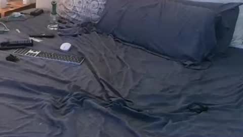 Snapshot of azslamslut2gape chatting on November 2025 09:00:02 PM azslamslut2gape online show from November 2025 09:00:02 PM