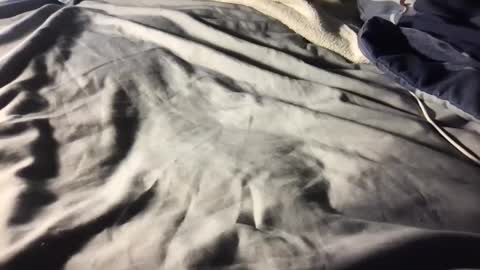 b0rk3r online show from December 2024 05:53:02 AM
