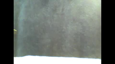 Snapshot of b1gg9inch chatting on January 2025 11:02:02 AM b1gg9inch online show from January 2025 11:02:02 AM