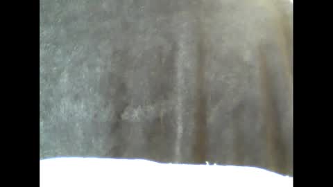 Snapshot of b1gg9inch chatting on February 2025 10:55:01 AM b1gg9inch online show from February 2025 10:55:01 AM