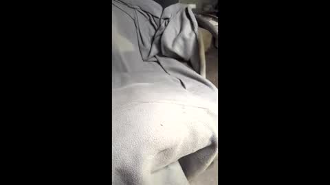 b4db0y online show from March 2026 12:07:02 AM