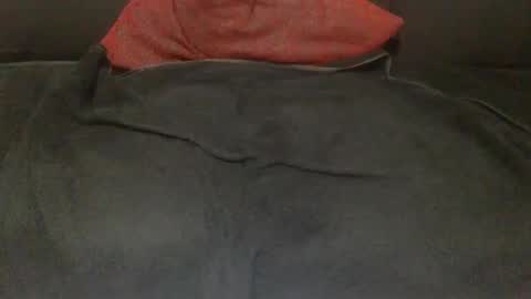 babo838383 online show from November 2025 05:18:02 AM