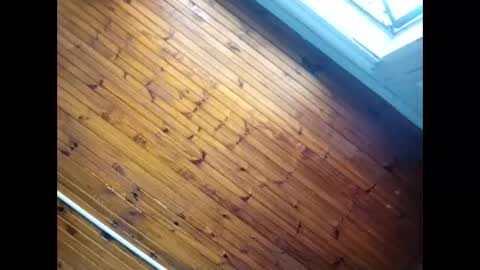 Baby  P online show from February 2026 09:30:01 AM