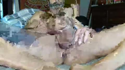 Poindexxxter online show from December 2024 03:00:02 PM