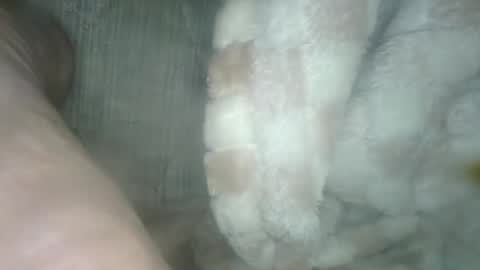 Snapshot of babyxxxangel chatting on December 2024 05:40:02 AM babyxxxangel online show from December 2024 05:40:02 AM