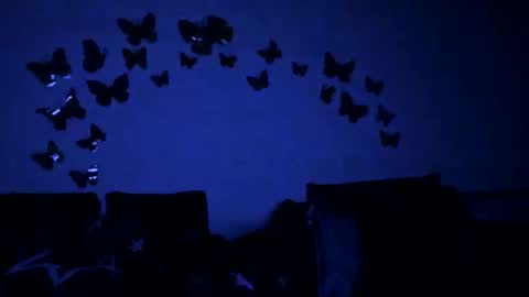 Snapshot of badgg chatting on February 2025 06:09:01 PM Gina online show from February 2025 06:09:01 PM