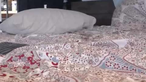 Snapshot of baker305 chatting on September 2025 04:17:01 AM baker305 online show from September 2025 04:17:01 AM