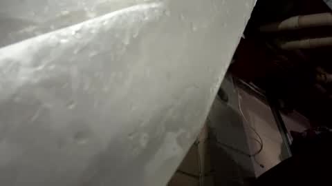 balddickstroking online show from March 2025 05:59:02 AM