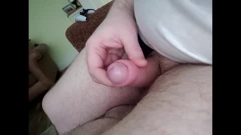 ballymoneysham online show from February 2026 09:13:01 AM