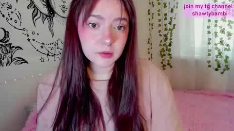 May 3 online show from February 2026 08:40:02 AM