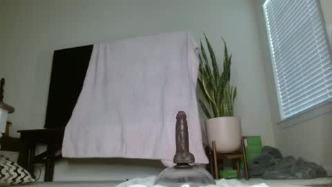 bambirachel1 online show from June 2026 11:36:02 PM