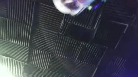 BANJOEY online show from April 2026 05:55:02 AM