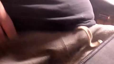 Snapshot of bankhank chatting on October 2025 11:57:01 PM Wank Hank online show from October 2025 11:57:01 PM