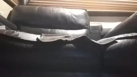 Snapshot of baobabtree10 chatting on October 2025 12:09:01 PM baobabtree10 online show from October 2025 12:09:01 PM