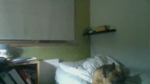 bart_poland online show from October 2025 09:02:02 PM