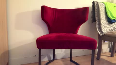 Batestallion9x6 online show from January 2026 11:14:02 AM