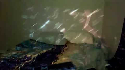 bathtimeboii online show from January 2026 04:06:02 AM