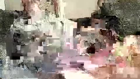 Batman online show from January 2025 12:02:01 AM