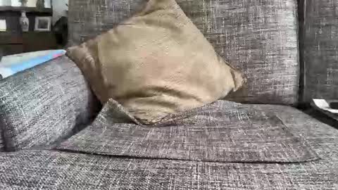 baykiwi54 online show from February 2026 10:26:01 PM