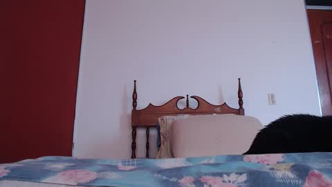 Snapshot of bayonette_black chatting on September 2025 12:10:02 PM bayonette_black online show from September 2025 12:10:02 PM