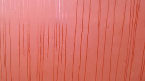 Snapshot of bayonette_black chatting on December 2025 07:08:02 PM bayonette_black online show from December 2025 07:08:02 PM