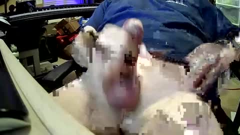 bb5199bb online show from December 2024 01:00:02 AM