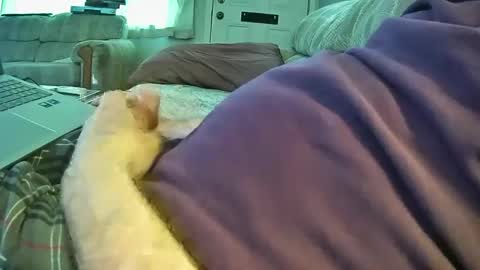 bcema2 online show from September 2025 05:28:01 PM