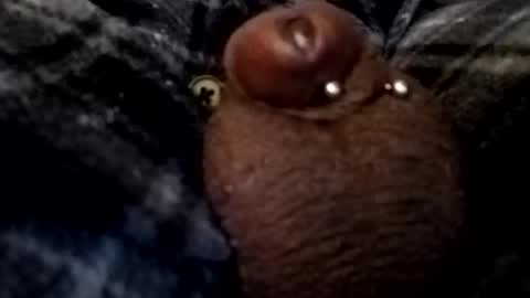 Snapshot of bcfalcon69 chatting on February 2026 05:06:02 AM bcfalcon69 online show from February 2026 05:06:02 AM