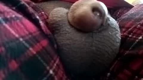 Snapshot of bcfalcon69 chatting on June 2026 01:24:01 PM bcfalcon69 online show from June 2026 01:24:01 PM