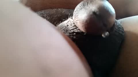 Snapshot of bcfalcon69 chatting on June 2026 12:42:02 PM bcfalcon69 online show from June 2026 12:42:02 PM