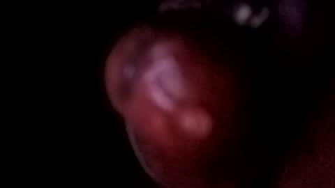 Snapshot of bcfalcon69 chatting on June 2026 05:09:01 AM bcfalcon69 online show from June 2026 05:09:01 AM