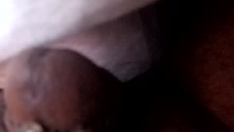 Snapshot of bcfalcon69 chatting on July 2026 05:46:02 AM bcfalcon69 online show from July 2026 05:46:02 AM