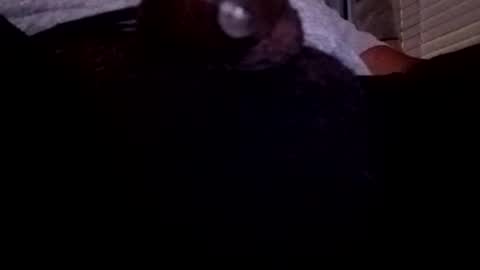 Snapshot of bcfalcon69 chatting on July 2026 04:10:02 AM bcfalcon69 online show from July 2026 04:10:02 AM