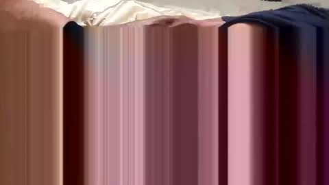 BeachGuy online show from September 2025 02:55:02 PM