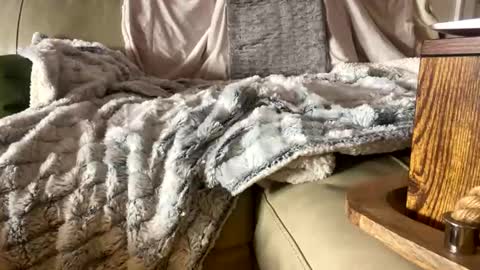 Snapshot of beachymilf chatting on November 2025 05:26:02 PM BeachyMILF online show from November 2025 05:26:02 PM