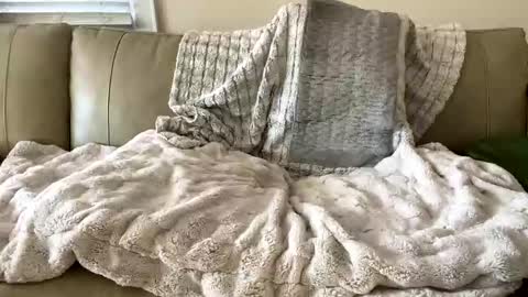 Snapshot of beachymilf chatting on November 2025 07:38:01 PM BeachyMILF online show from November 2025 07:38:01 PM