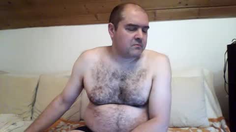 Snapshot of bear037 chatting on December 2024 12:46:02 AM bear037 online show from December 2024 12:46:02 AM