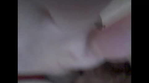 bear14250949 online show from November 2025 10:25:02 AM