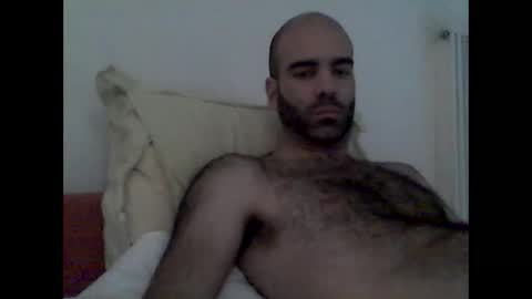 bear14250949 online show from November 2025 11:38:02 AM