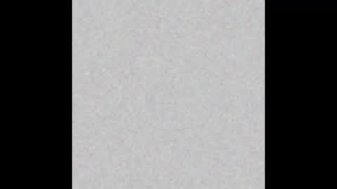 Snapshot of bearded_fellow chatting on September 2025 05:51:01 PM bearded_fellow online show from September 2025 05:51:01 PM