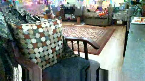 beardie89 online show from January 2026 05:40:01 PM