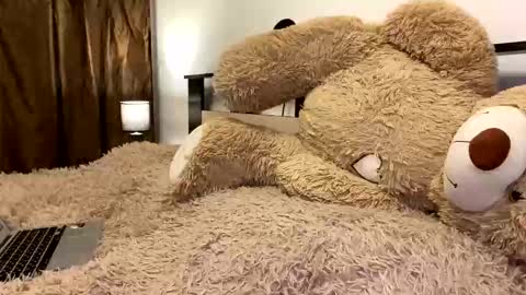 Nik online show from March 2026 07:55:02 PM