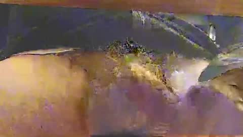 bebbi78022 online show from October 2025 03:34:01 AM